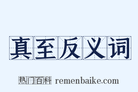 真至反义词是什么意思的图片